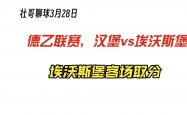 开云体育登录-沃尔夫斯堡客场大胜，积分榜上升的简单介绍