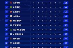 开云体育登录-不莱梅客场胜利，提升积分榜排名的简单介绍