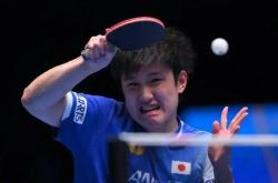 开云APP-中国乒乓球队逆转比利时乒乓球队，张本智和关键制胜的简单介绍