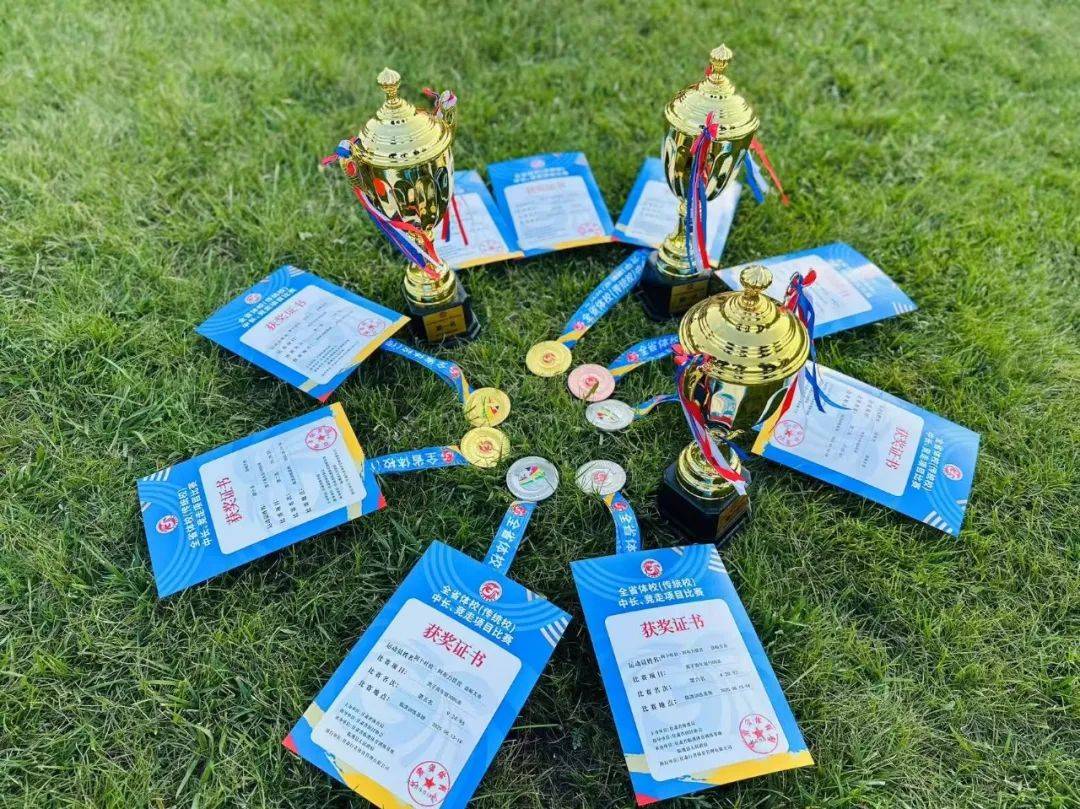 参赛队伍斩获佳绩，争夺金牌细节揭秘