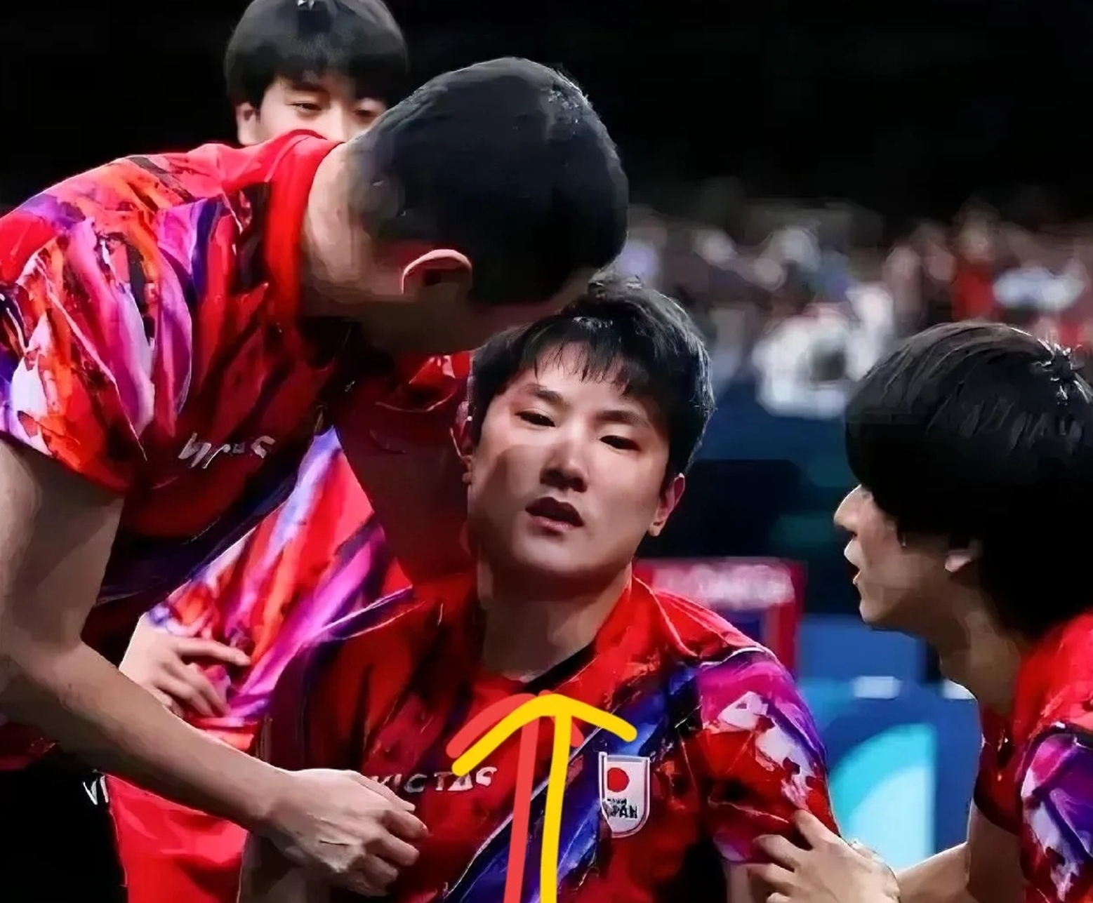 关于比利时乒乓球队逆转韩国乒乓球队，张本智和关键制胜的信息