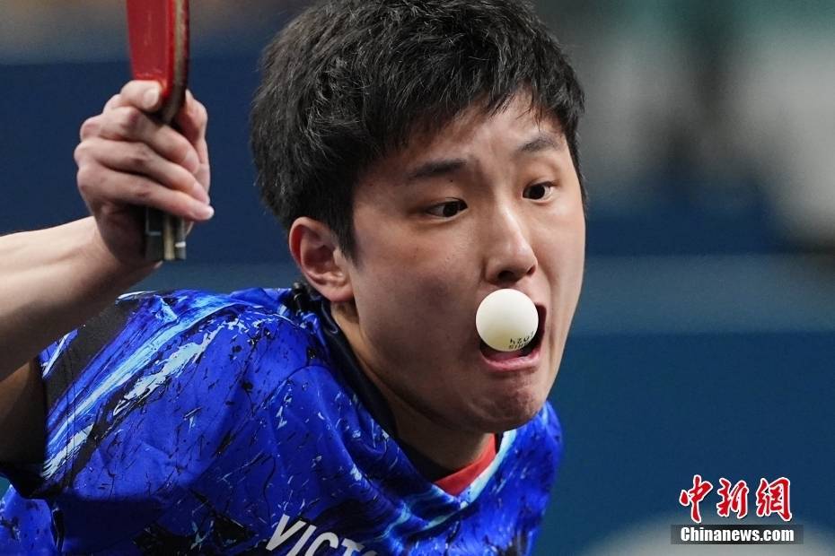 关于比利时乒乓球队逆转韩国乒乓球队，张本智和关键制胜的信息